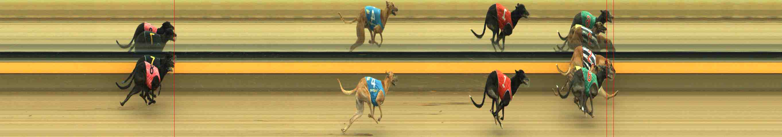 Photo finish for Horsham Race 8