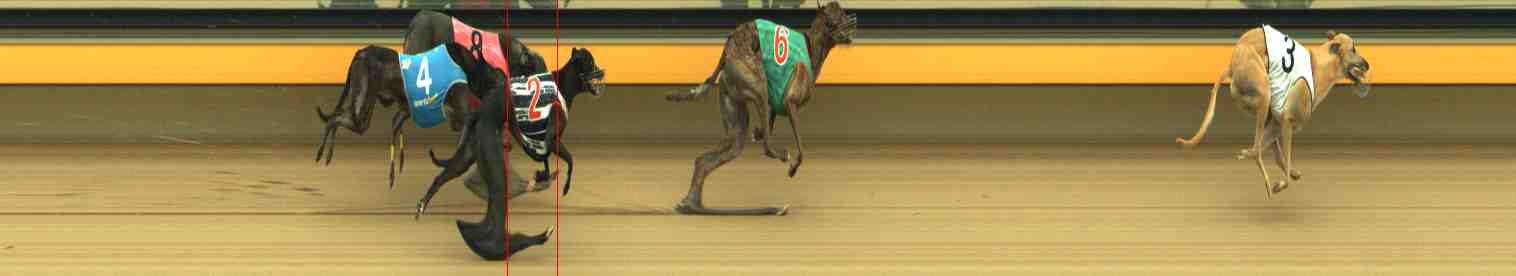Photo finish for Horsham Race 9
