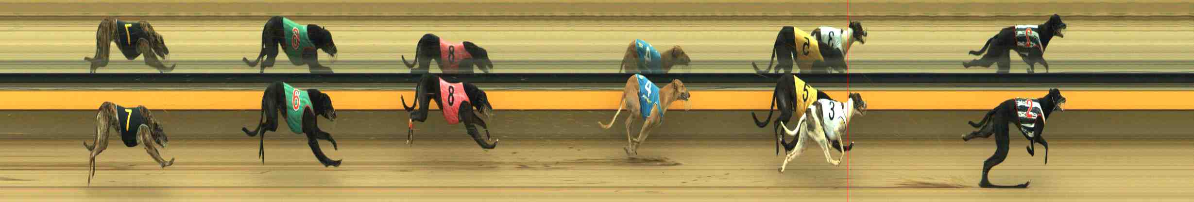 Photo finish for Horsham Race 10