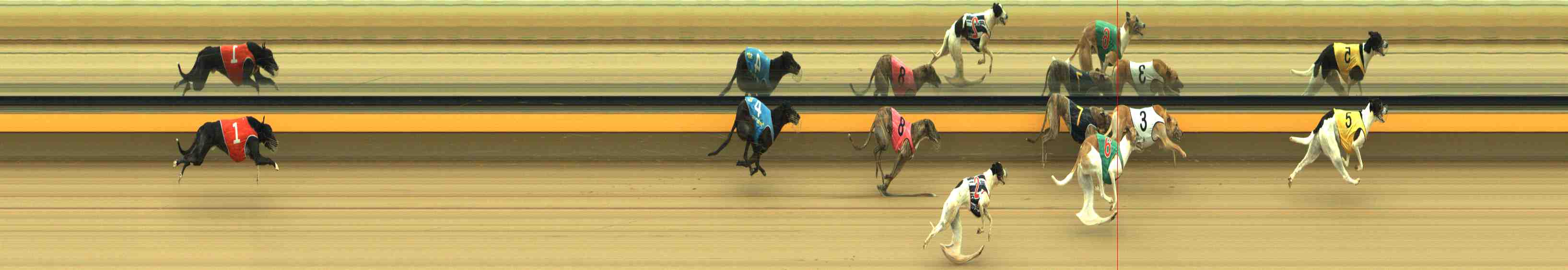 Photo finish for Horsham Race 11