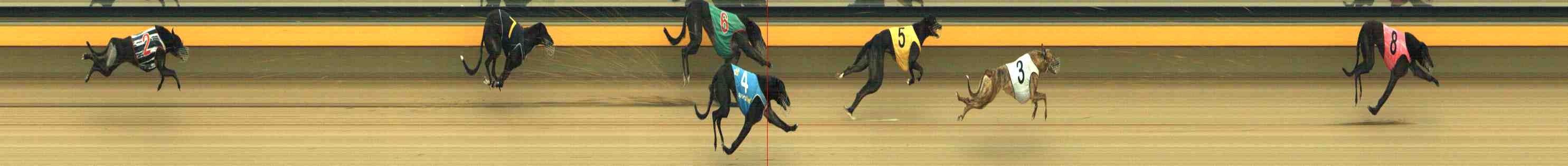 Photo finish for Horsham Race 12
