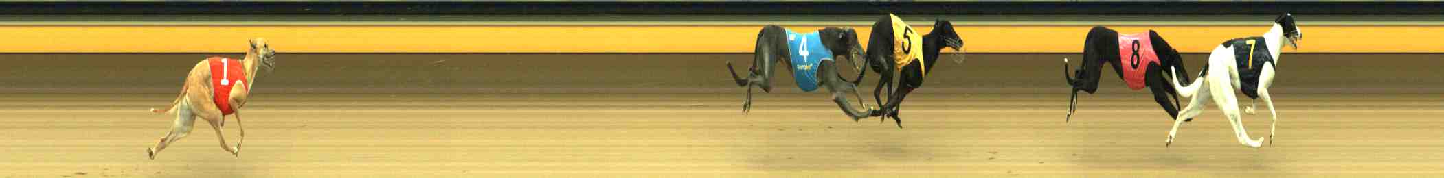 Photo finish for Horsham Race 1