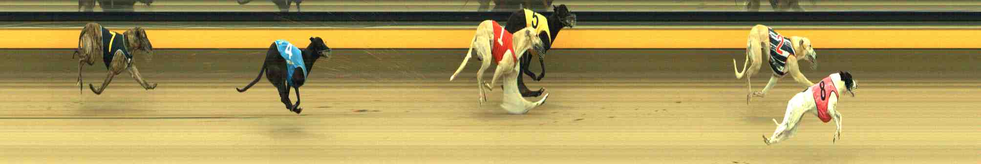Photo finish for Horsham Race 2