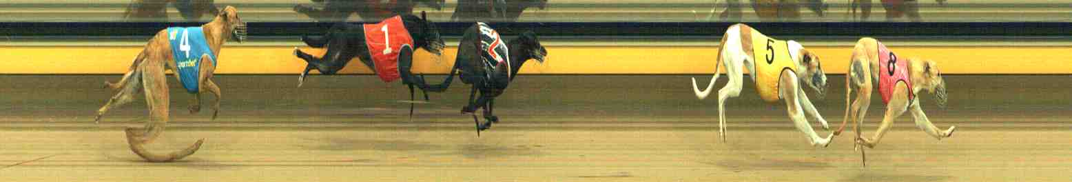Photo finish for Horsham Race 3