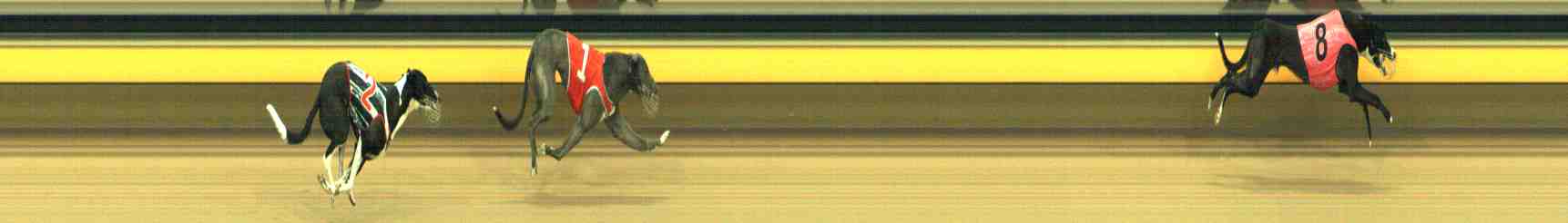 Photo finish for Horsham Race 4
