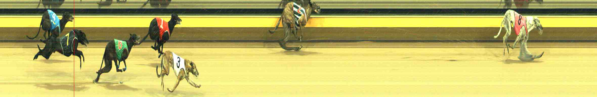 Photo finish for Horsham Race 6