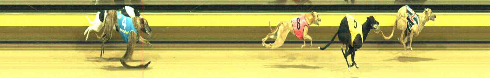 Photo finish for Horsham Race 7