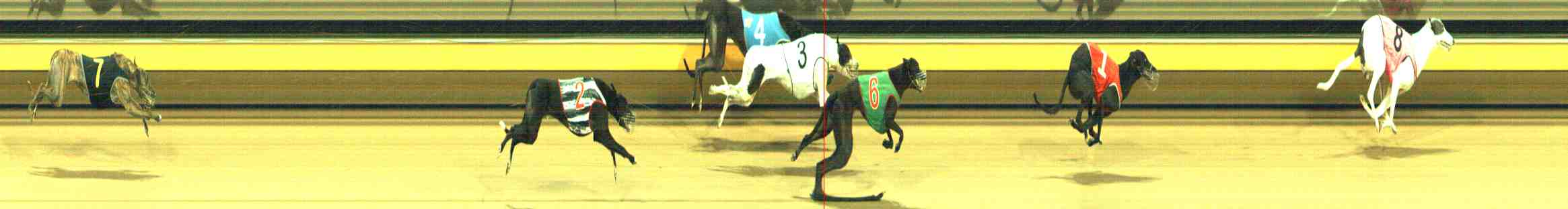 Photo finish for Horsham Race 8
