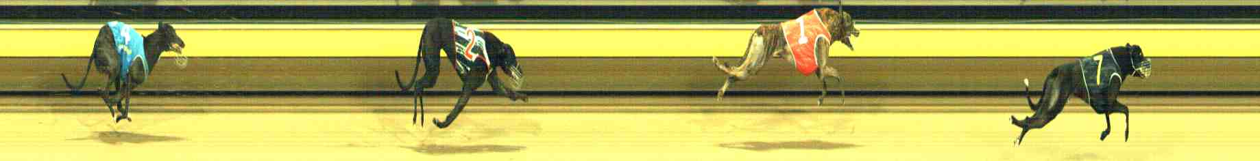 Photo finish for Horsham Race 9