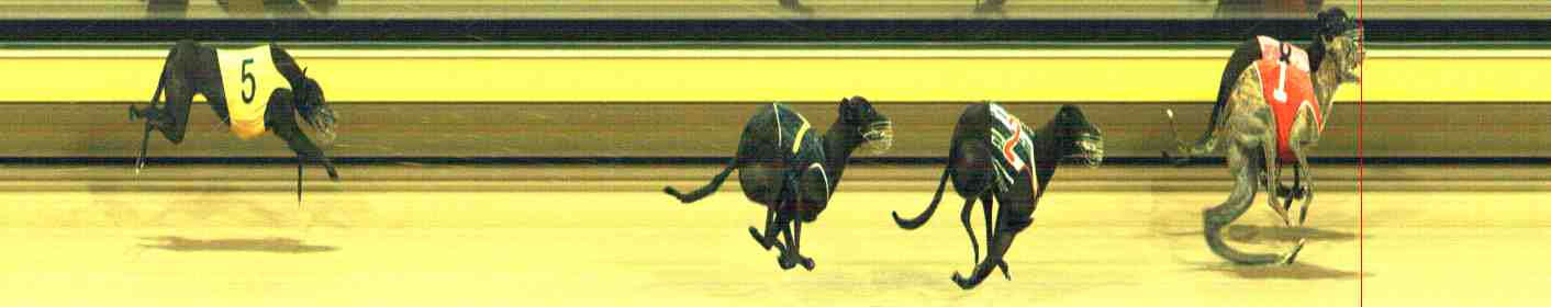 Photo finish for Horsham Race 10