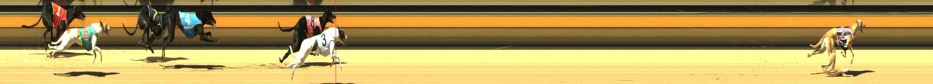 Photo finish for Horsham Race 1
