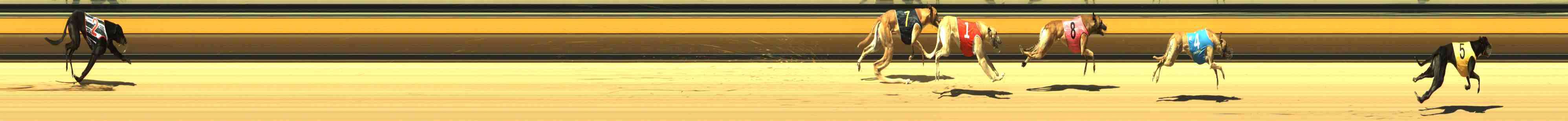 Photo finish for Horsham Race 2