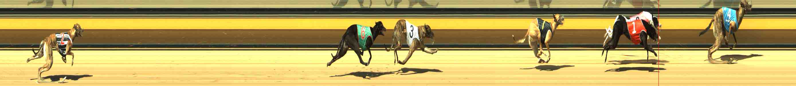 Photo finish for Horsham Race 3