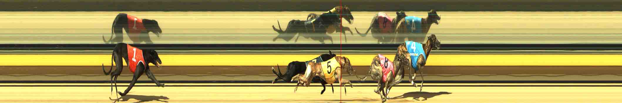 Photo finish for Horsham Race 4