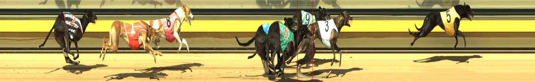 Photo finish for Horsham Race 5