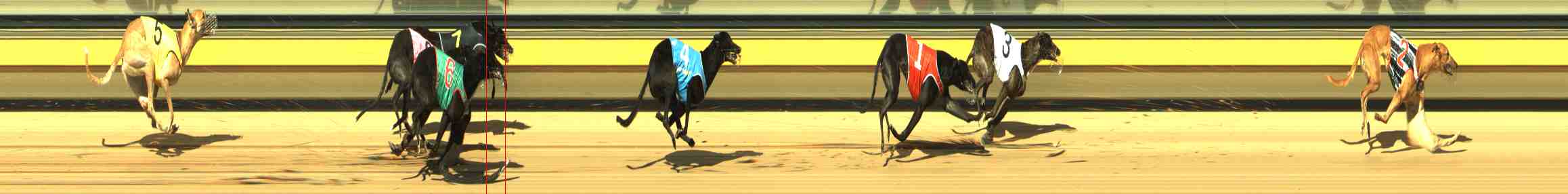 Photo finish for Horsham Race 6