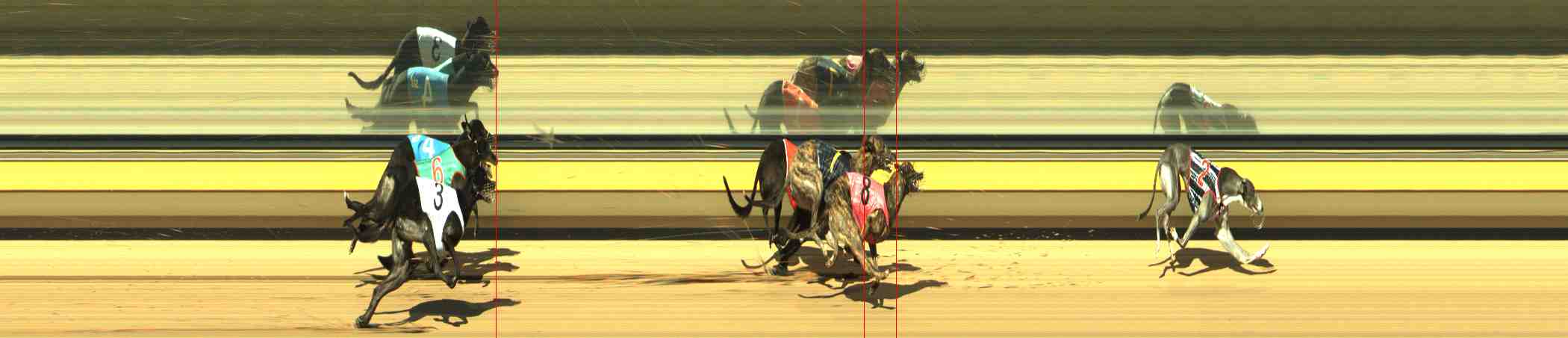 Photo finish for Horsham Race 7