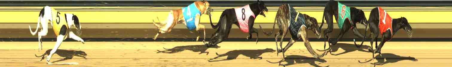 Photo finish for Horsham Race 8