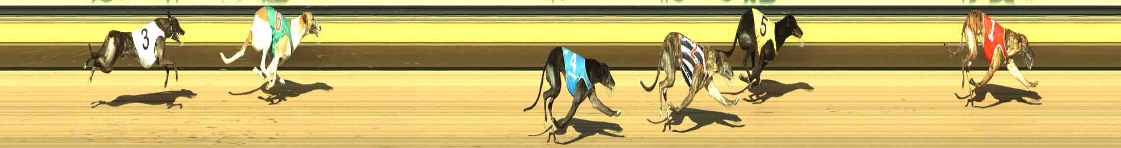 Photo finish for Horsham Race 9
