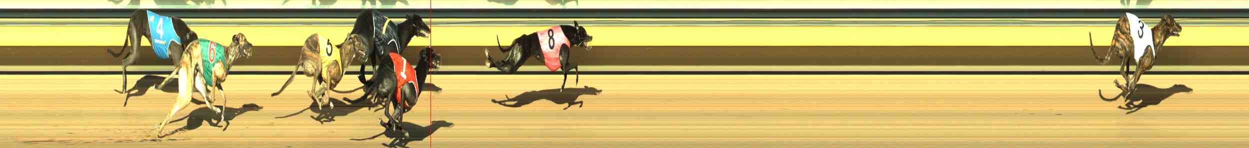 Photo finish for Horsham Race 10