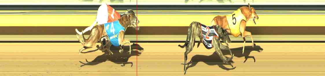 Photo finish for Horsham Race 11