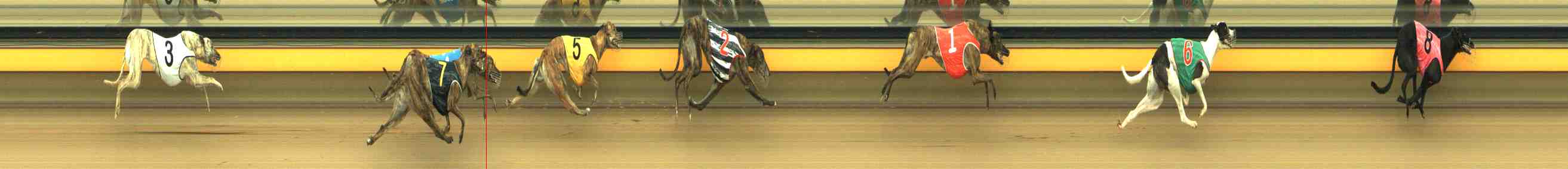 Race result finish photo