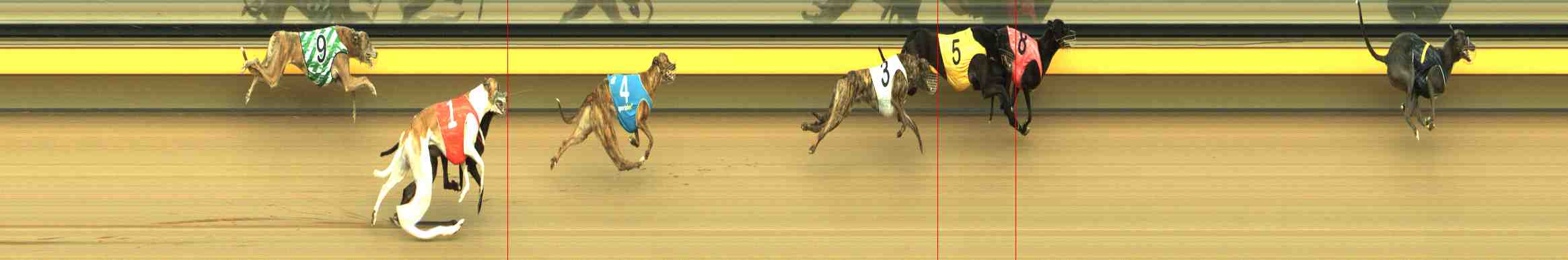 Race result finish photo