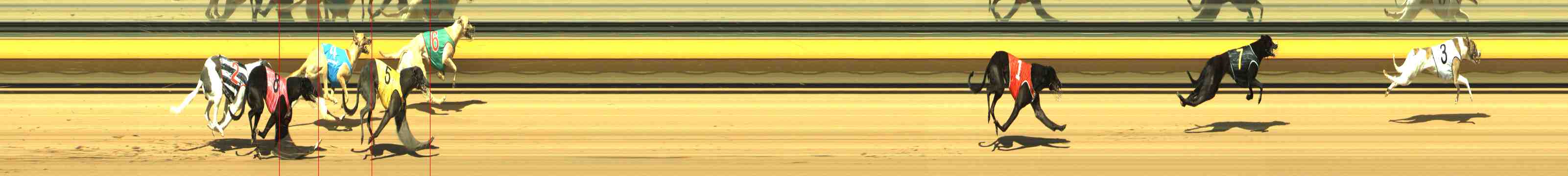 Photo finish for Horsham Race 2