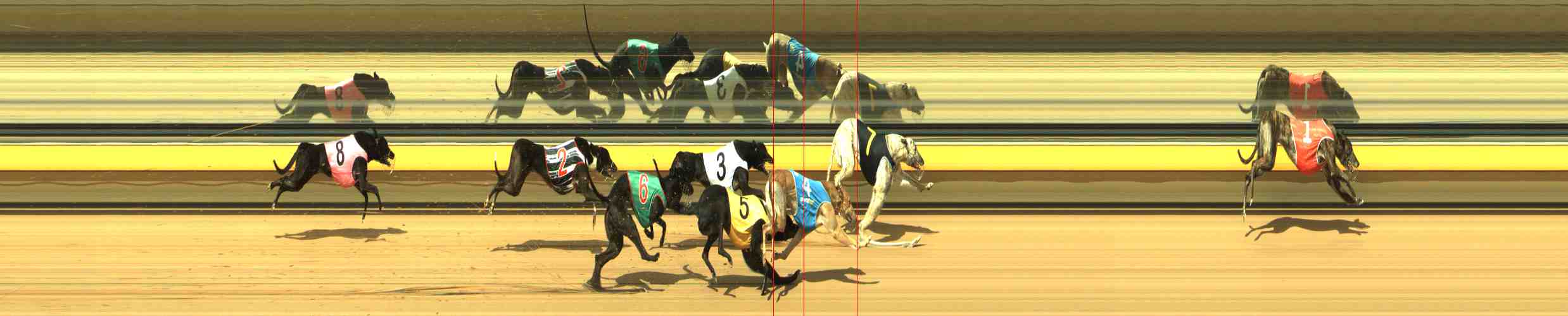 Photo finish for Horsham Race 3