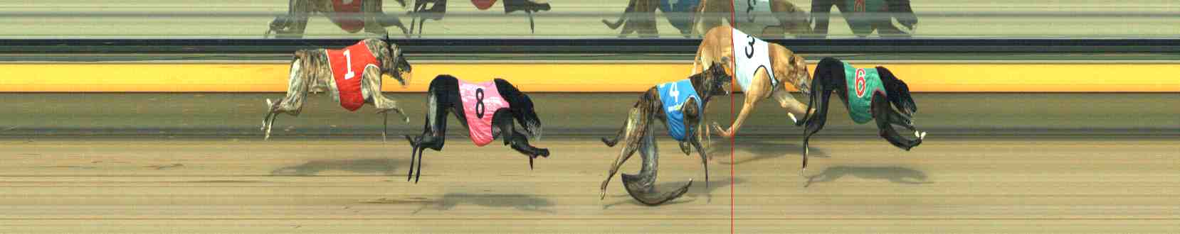Photo finish for Horsham Race 4
