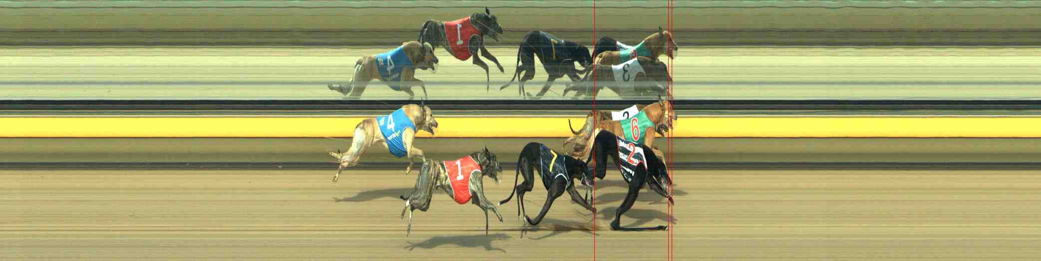 Photo finish for Horsham Race 5