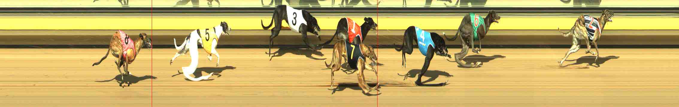 Photo finish for Horsham Race 6
