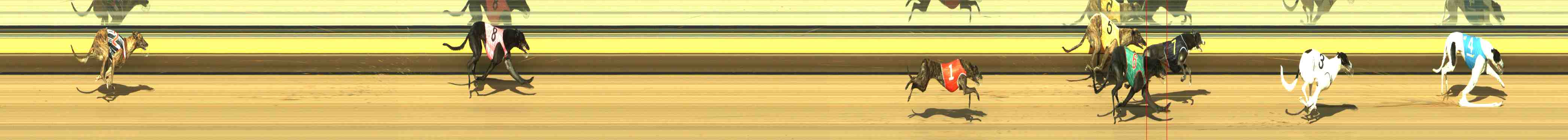 Photo finish for Horsham Race 7