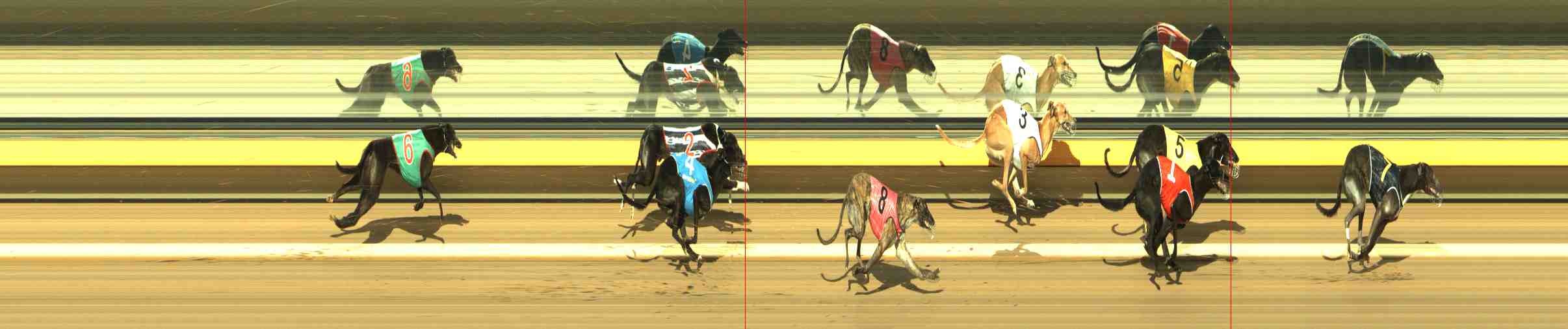 Photo finish for Horsham Race 8