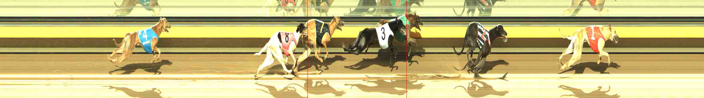 Photo finish for Horsham Race 9
