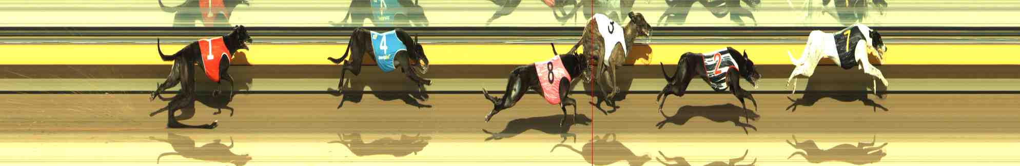 Photo finish for Horsham Race 10