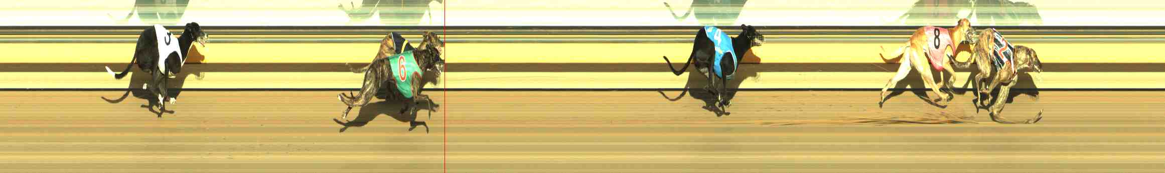 Photo finish for Horsham Race 11