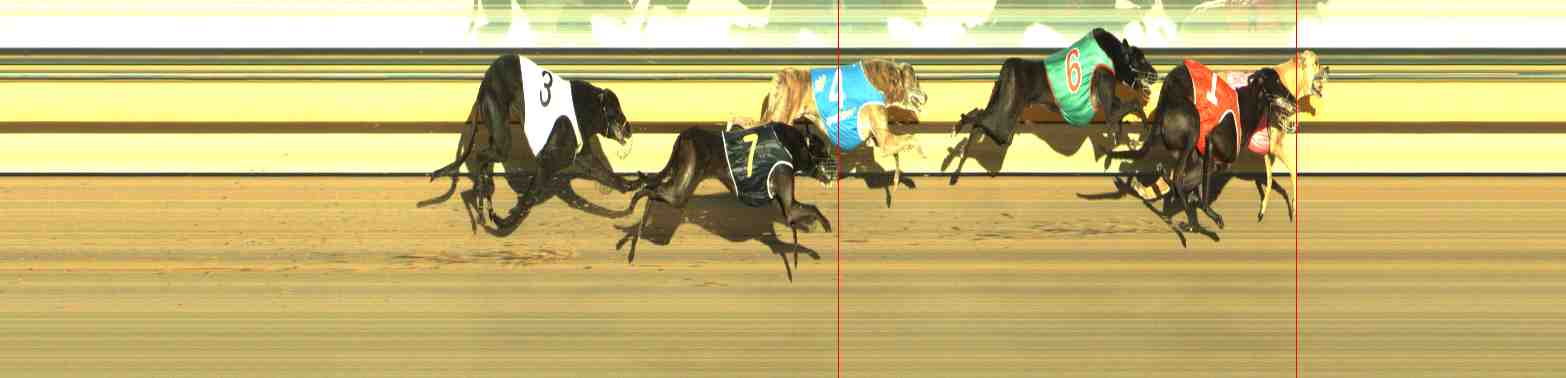 Photo finish for Horsham Race 12