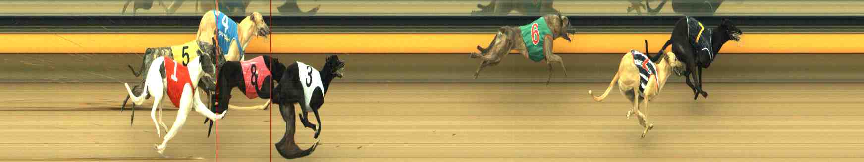Photo finish for Horsham Race 2
