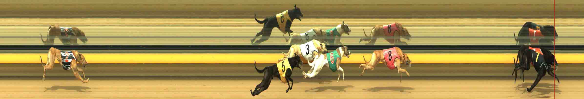 Photo finish for Horsham Race 3