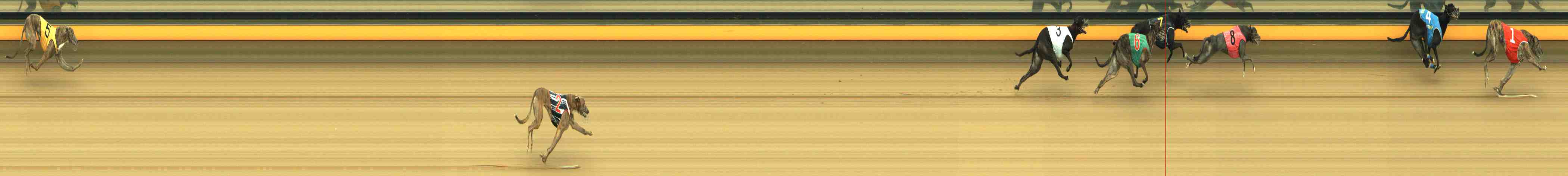 Photo finish for Horsham Race 4