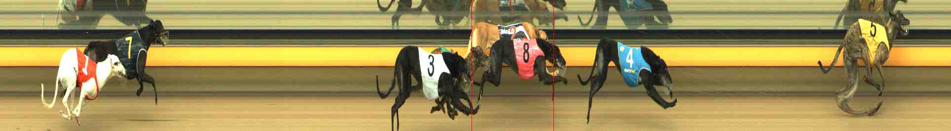 Photo finish for Horsham Race 5