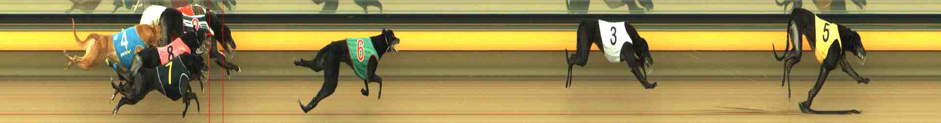 Photo finish for Horsham Race 6
