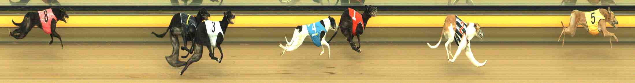 Photo finish for Horsham Race 7