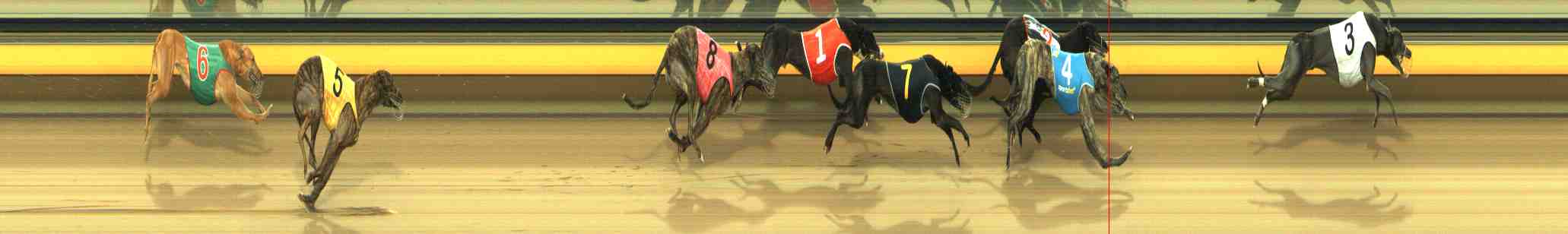 Photo finish for Horsham Race 8