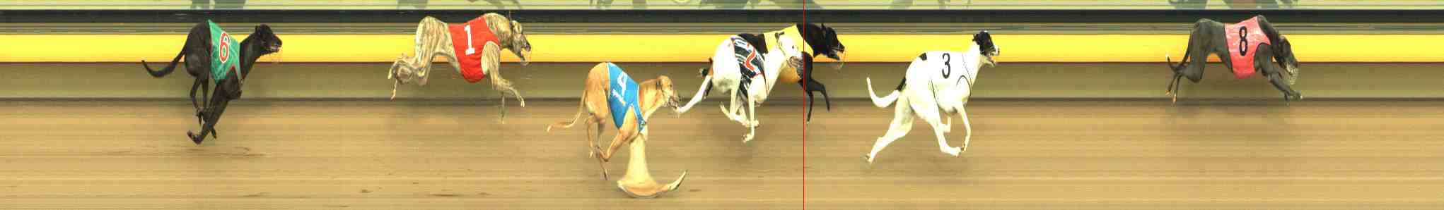 Photo finish for Horsham Race 9