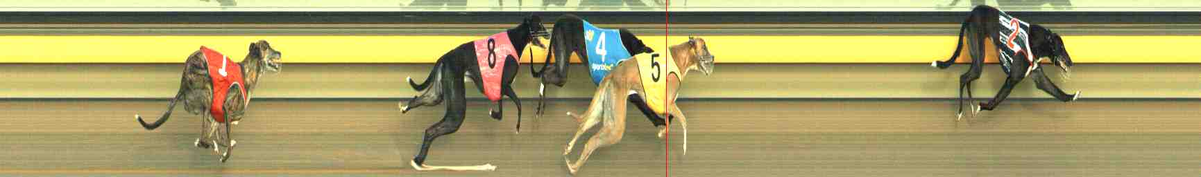 Photo finish for Horsham Race 11