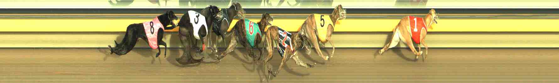 Photo finish for Horsham Race 12