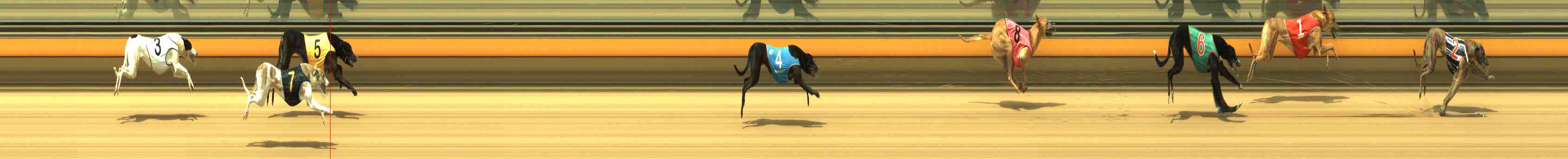 Photo finish for Horsham Race 1