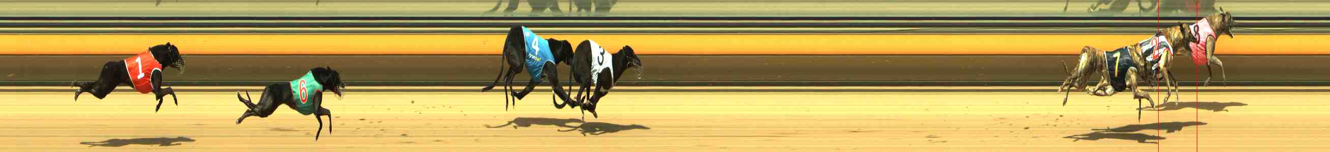 Photo finish for Horsham Race 2